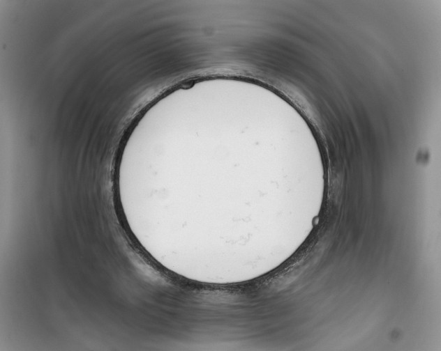 X0000100960389200807221150