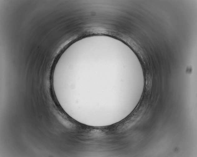 X0000100960390200807221150