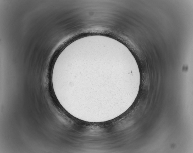 X0000100960392200807221150