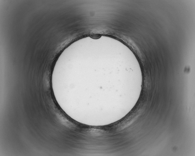 X0000100960393200807221150