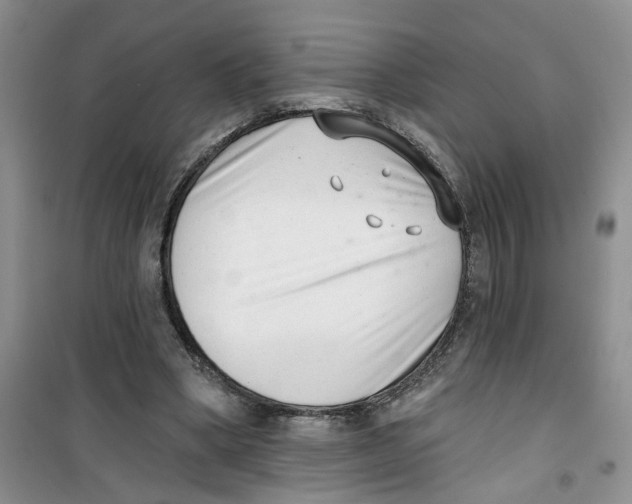 X0000100960394200807221150