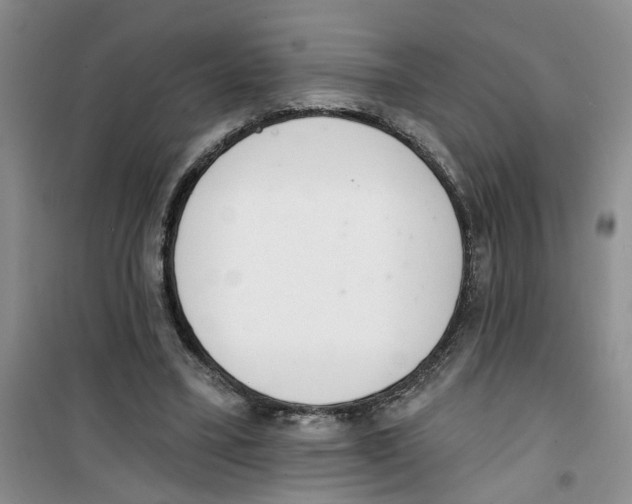 X0000100960395200807221150