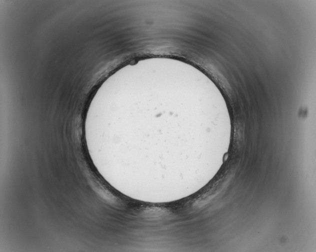 X0000100960397200807221150