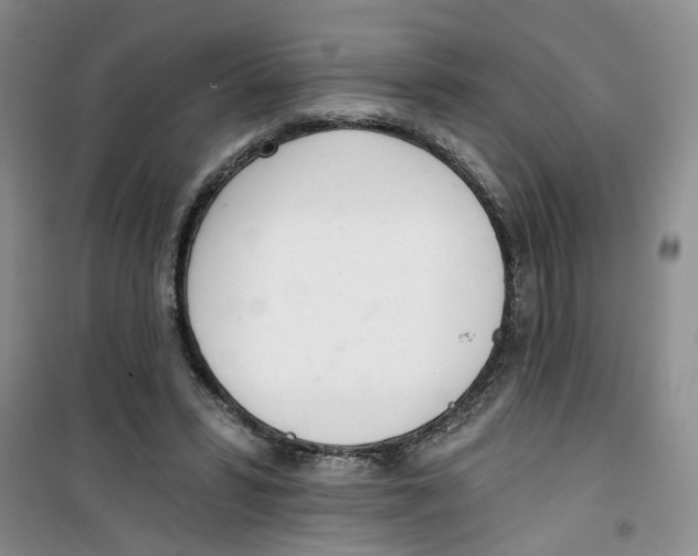 X0000100960399200807221150