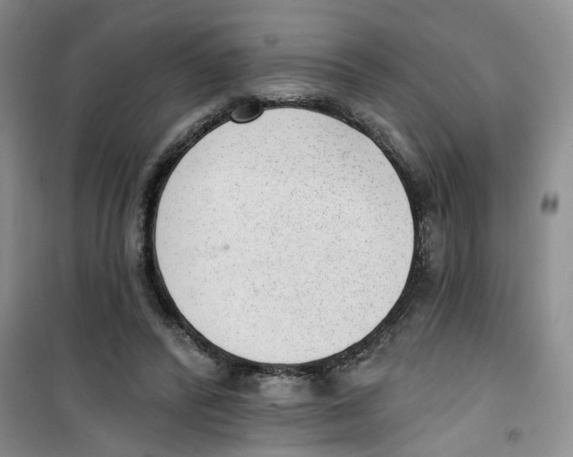 X0000100960400200807221150