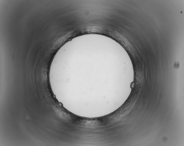 X0000100960401200807221150