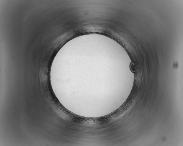 X0000100960402200807221150