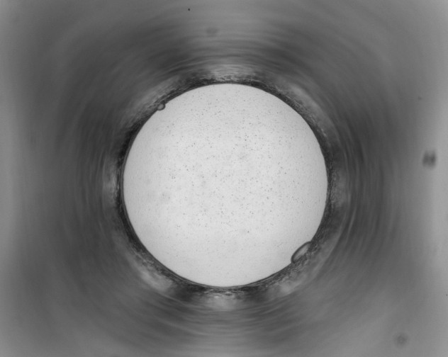 X0000100960405200807221149