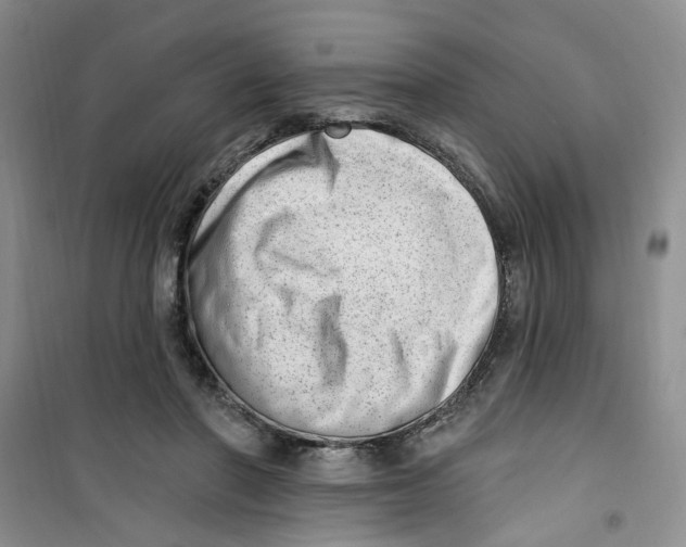 X0000100960406200807221149