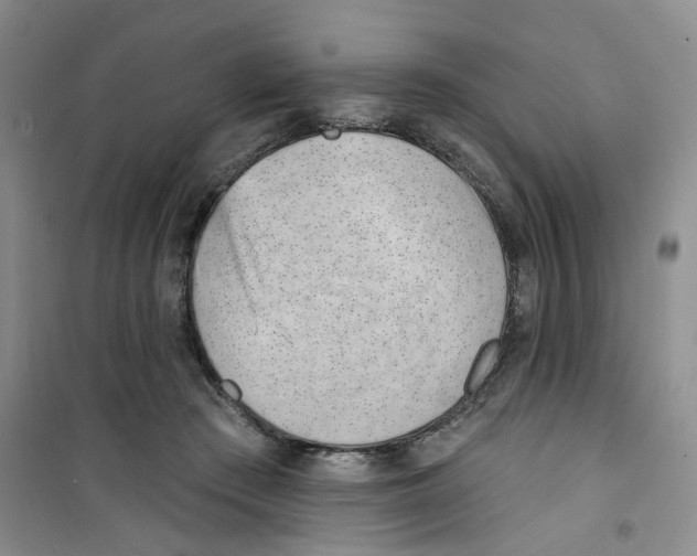 X0000100960409200807221149