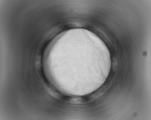 X0000100960410200807221149