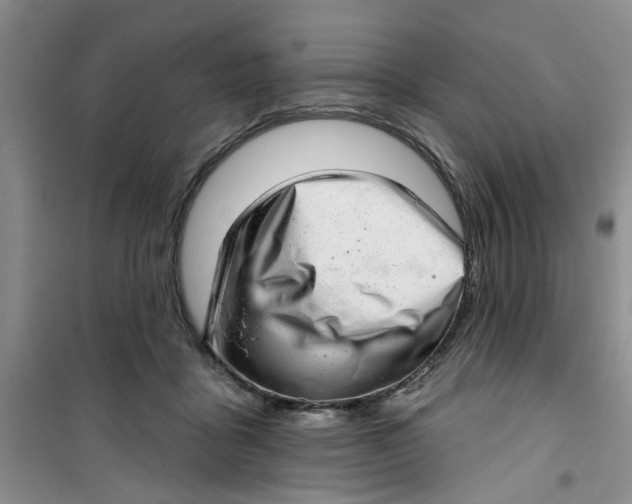 X0000100960411200807221149