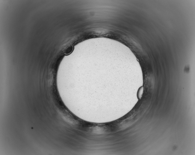 X0000100960412200807221149