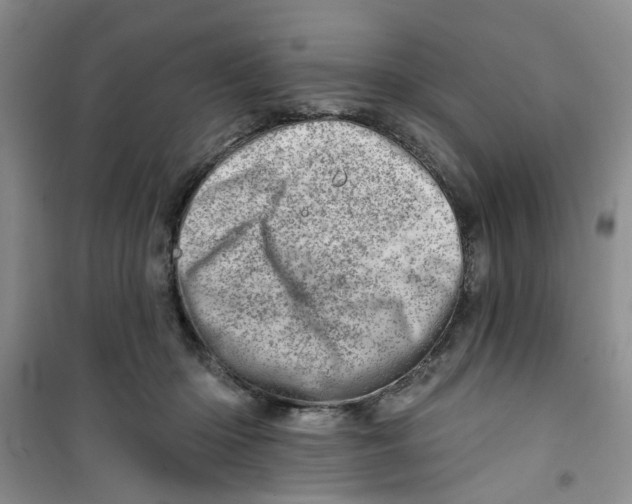 X0000100960414200807221149