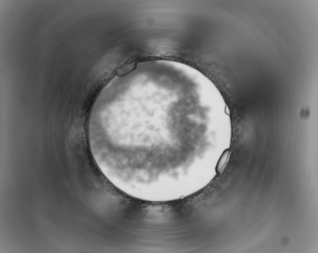 X0000100960415200807221149