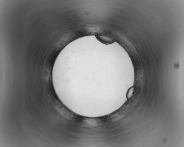 X0000100960417200807221149