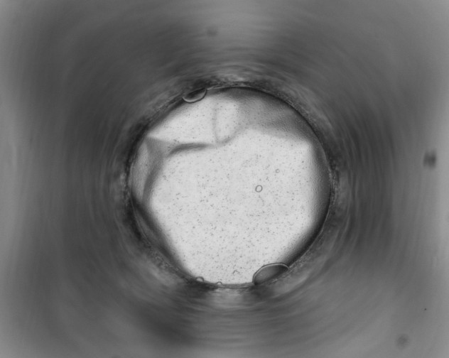 X0000100960418200807221149