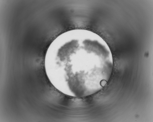 X0000100960419200807221149