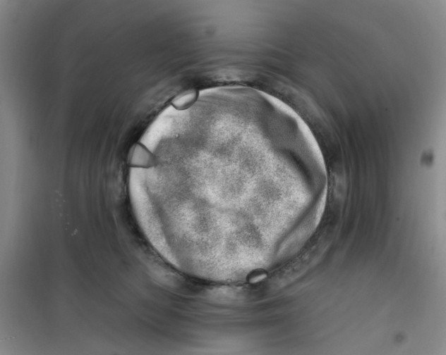 X0000100960422200807221149