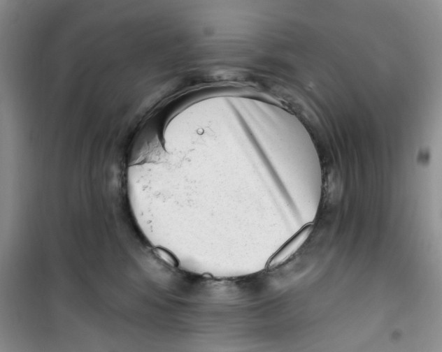 X0000100960424200807221149