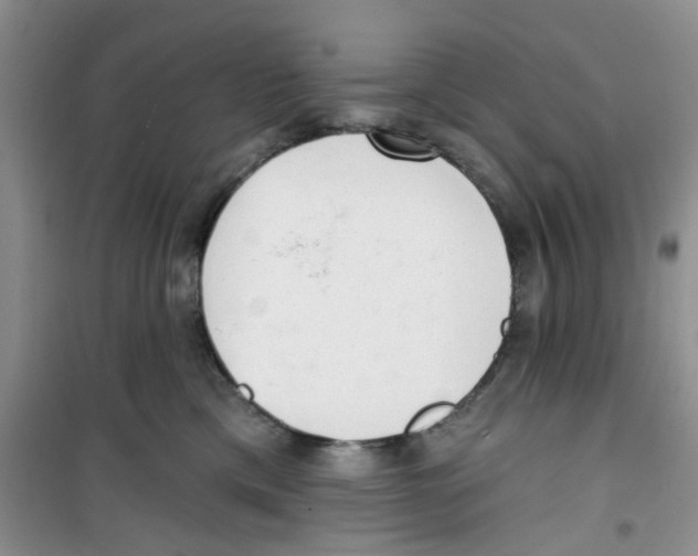 X0000100960425200807221149