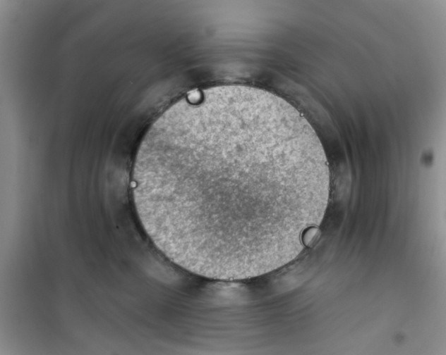 X0000100960427200807221149