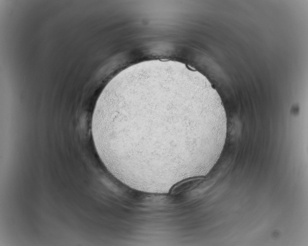 X0000100960428200807221149