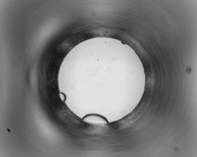 X0000100960429200807221149