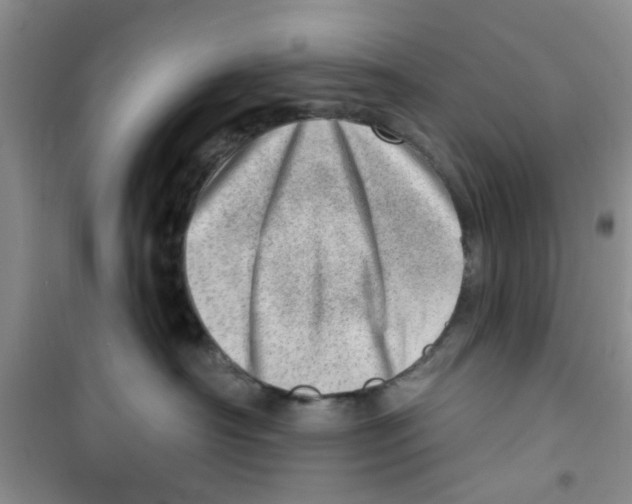 X0000100960430200807221149