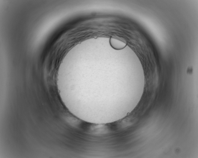 X0000100960431200807221149