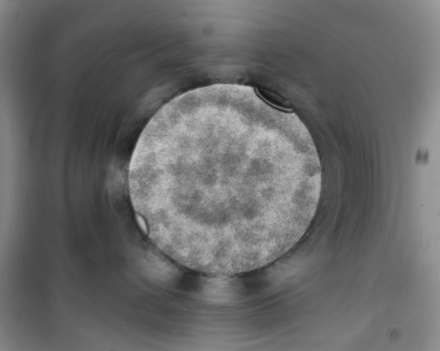 X0000100960432200807221149