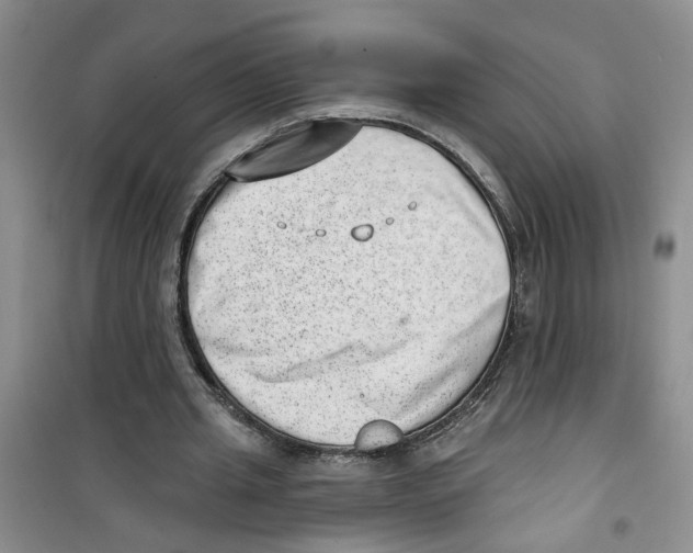 X0000100960437200807221148