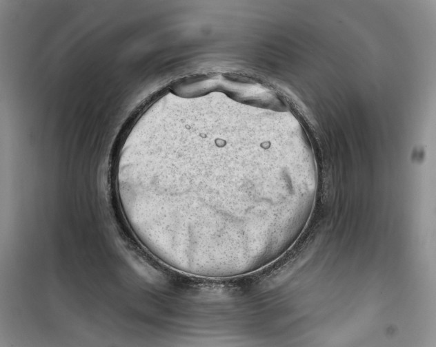 X0000100960439200807221148