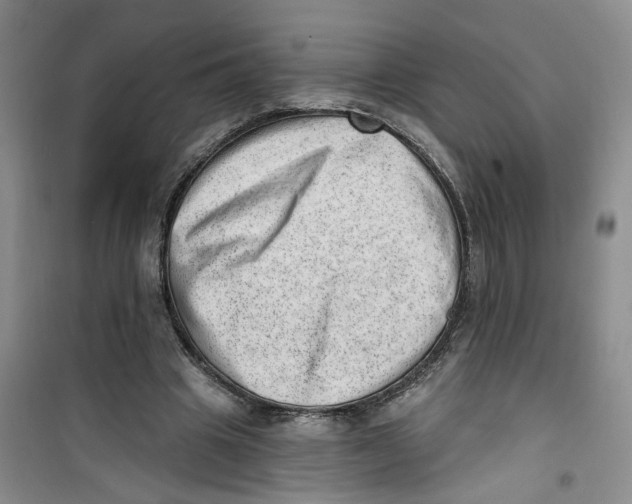 X0000100960441200807221148