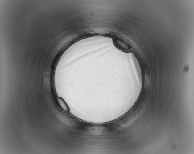 X0000100960444200807221149