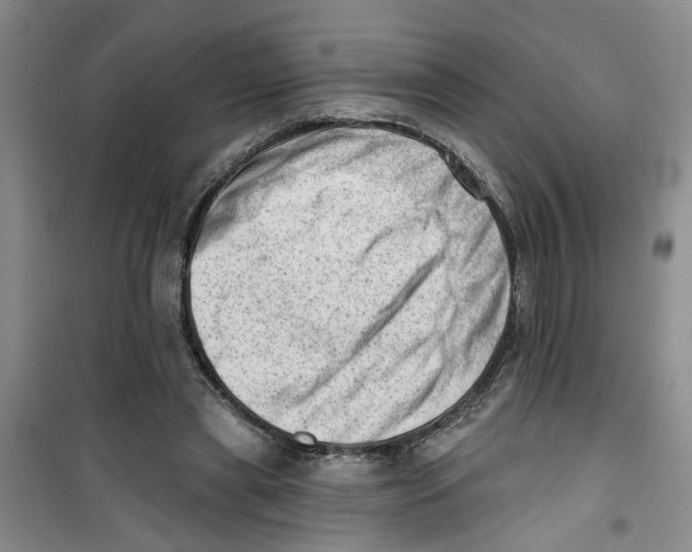 X0000100960445200807221149