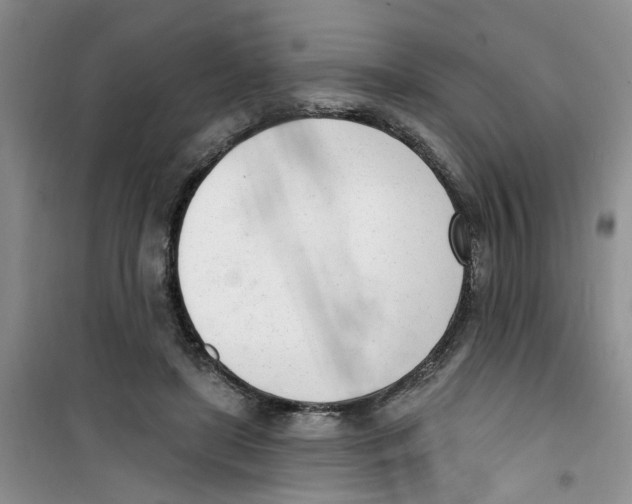 X0000100960451200807221149