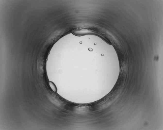 X0000100960452200807221149