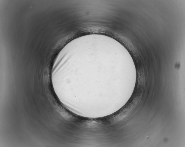 X0000100960453200807221149