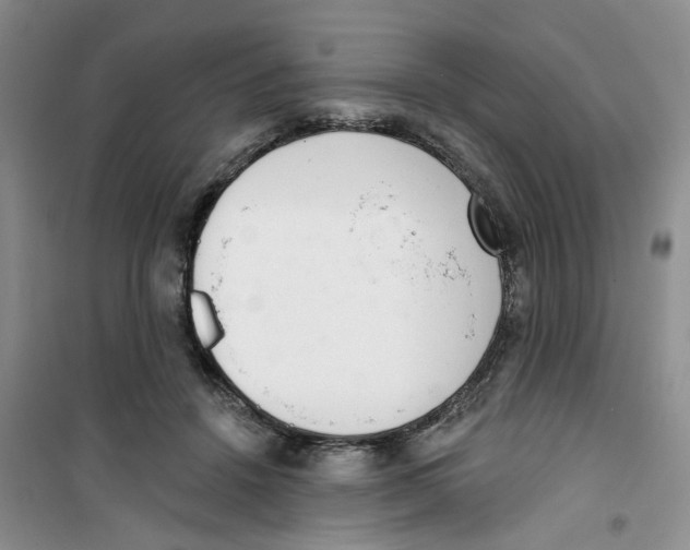 X0000100960456200807221149