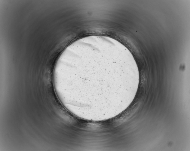 X0000100960457200807221149