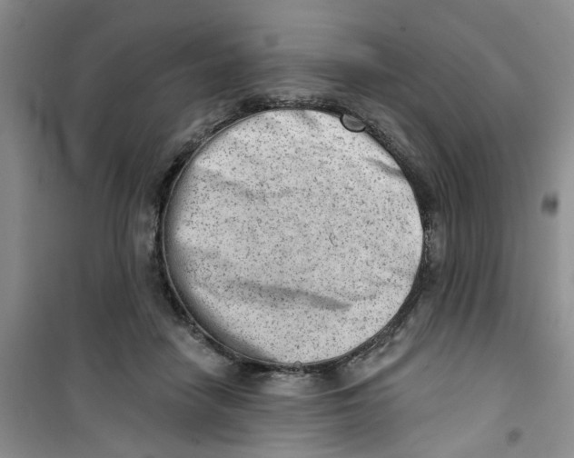 X0000100960458200807221149