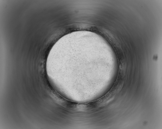 X0000100960462200807221149