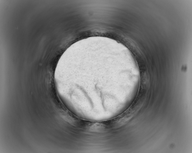 X0000100960463200807221149