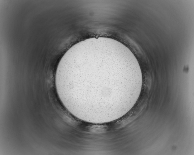 X0000100960465200807221149