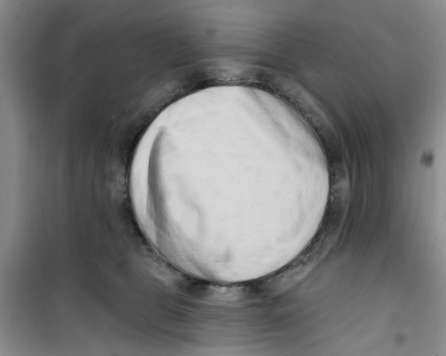 X0000100960469200807221149