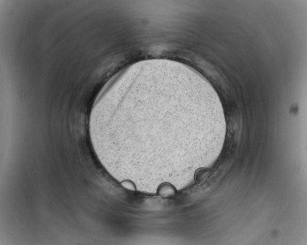 X0000100960470200807221149