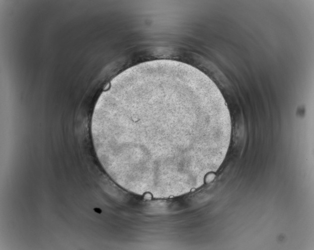 X0000100960473200807221149