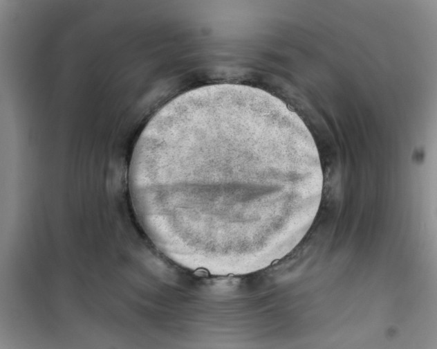 X0000100960474200807221149