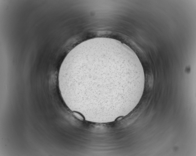 X0000100960475200807221149